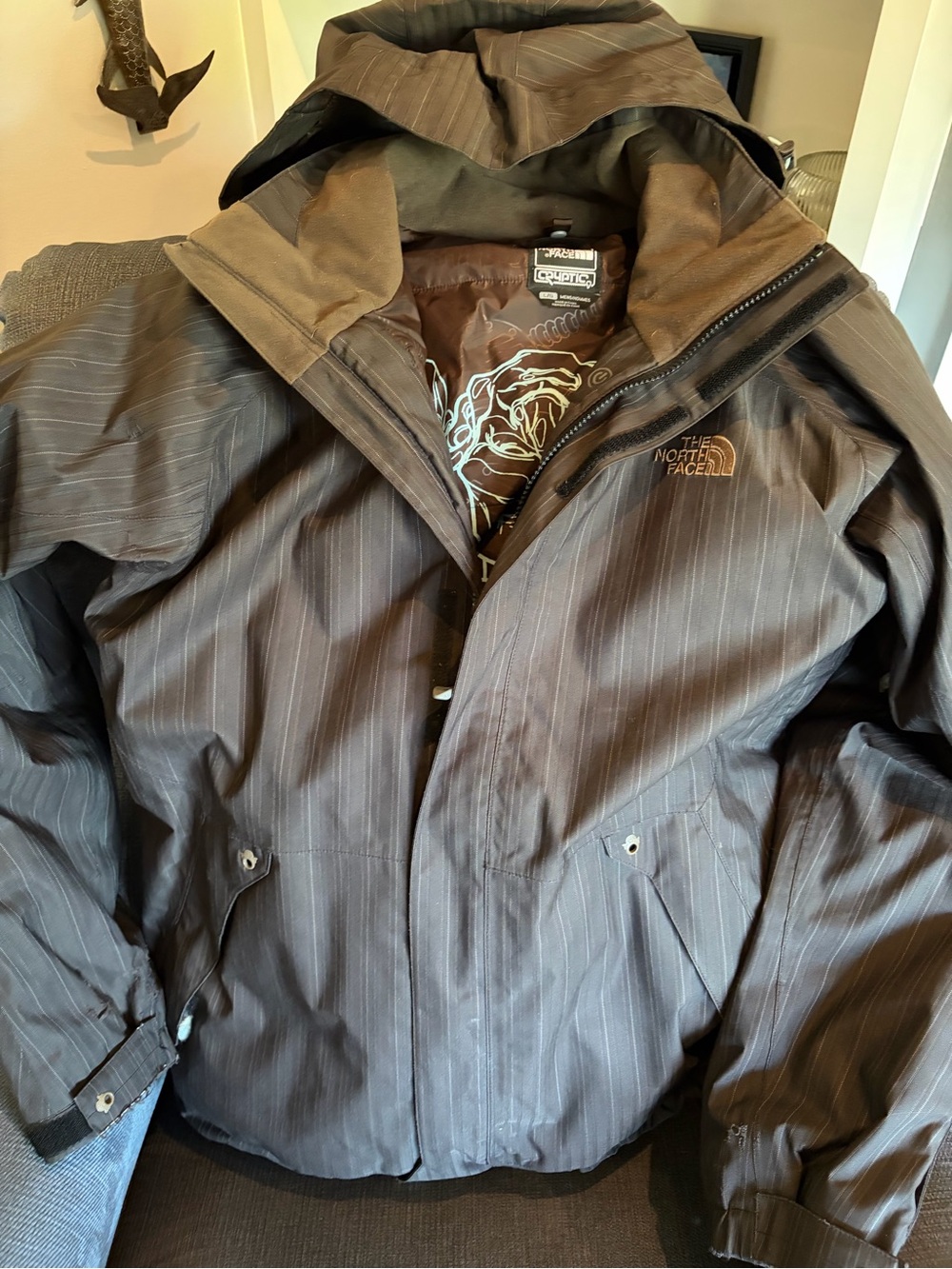The North Face Men’s Brown Pinstripe Raincoat with Hood